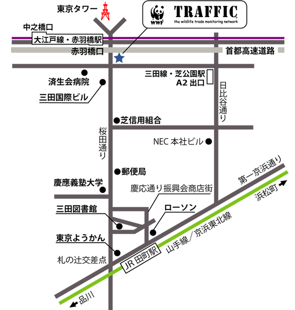 トラフィック周辺地図