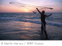 Martin Harvev / WWF-Canon