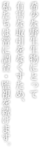 希少な野生生物にとって有害な取引をなくすため、私たちは常に調査、監視を続けます。