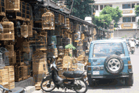 050617birdmarket.gif