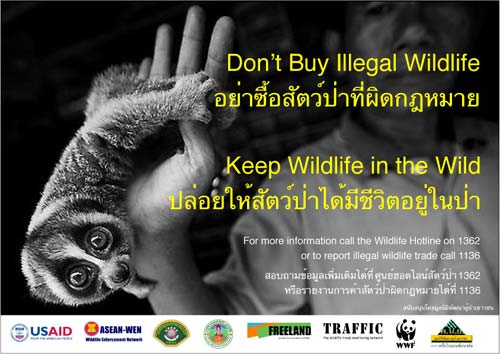 違法な野生生物を買わないよう警告するため、チャトチャック・マーケットに設置された広告掲示版