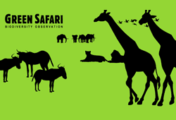 100520green_safari.gif