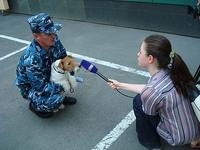 100702snifferdog_NPervushina.jpg