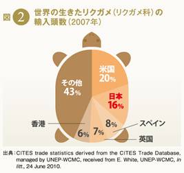 101012_tortoise_graph.jpg