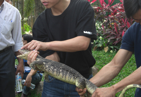 110223training_lizard.jpg