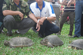 110223training_turtle.jpg