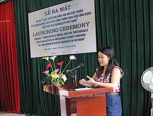 120409Vietnam-med-plant-project.jpg