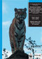 07_wildlife_trade_in_Russia.jpg