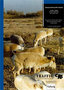 10_Saiga_Antelope_Trade.jpg