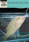 16_Humphead-Wrasse_trade_into_HongKong.jpg