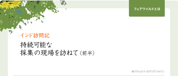 インド訪問記 持続可能な最終の現場を訪ねて（前半）