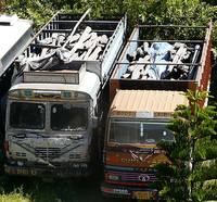ネパールで差し押さえられた、レッドサンダー運搬のトラック。インド国外へ高級材を搬送する密輸はますます巧妙になっている。cSamir Sinha / TRAFFIC India